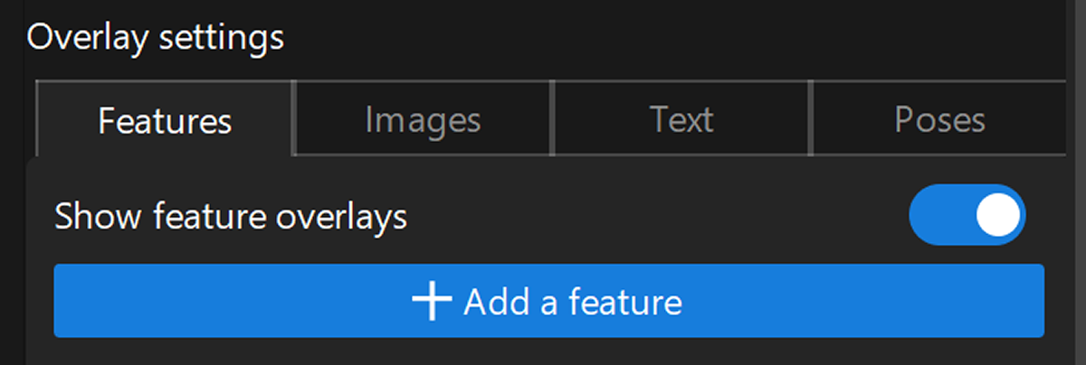 feature overlay interface