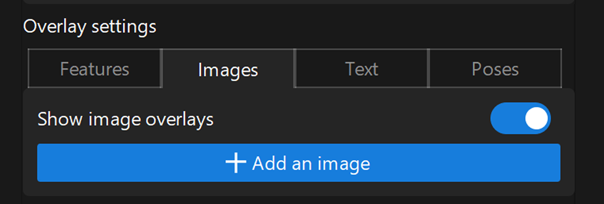 image overlay interface