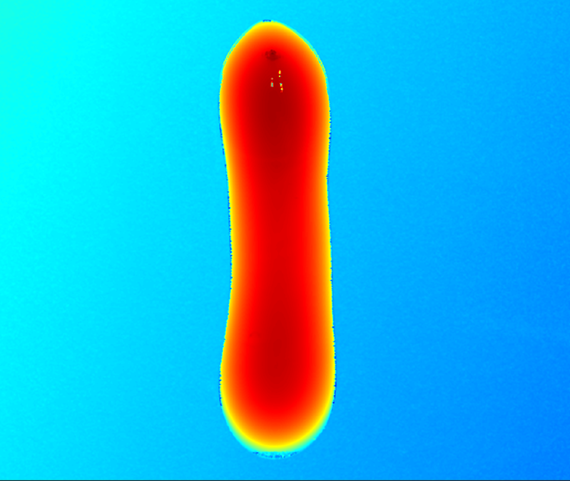 depth map integrated