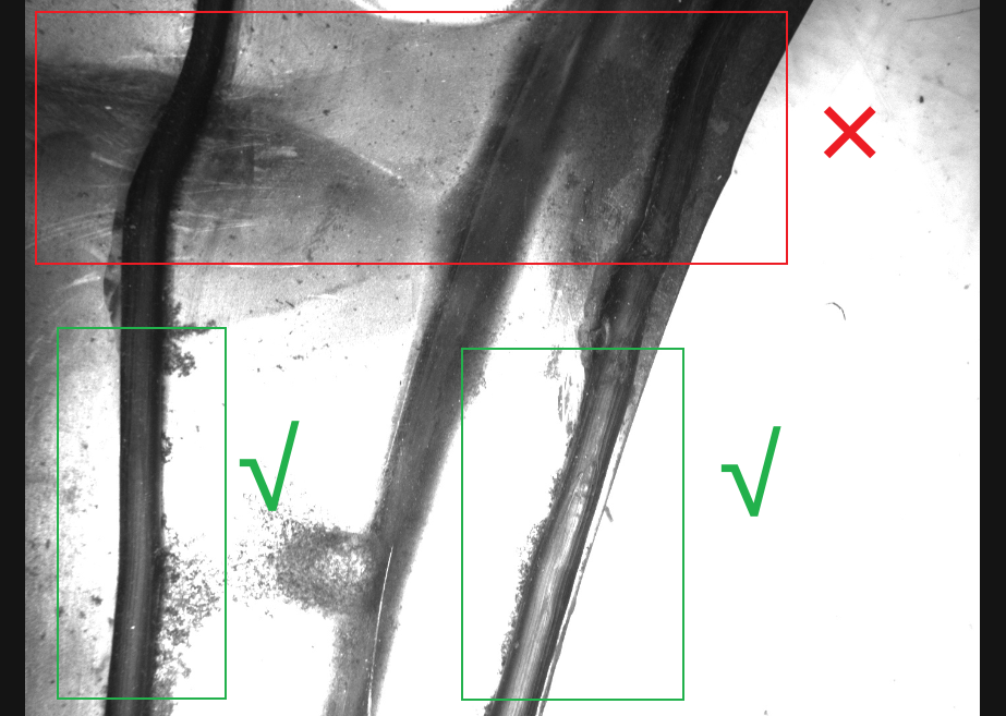 glue contrast selection 2
