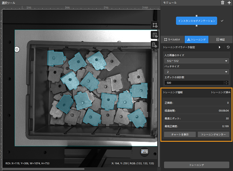 advanced instance segmentation training info