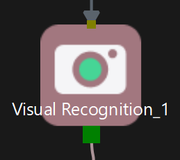 visual recognition