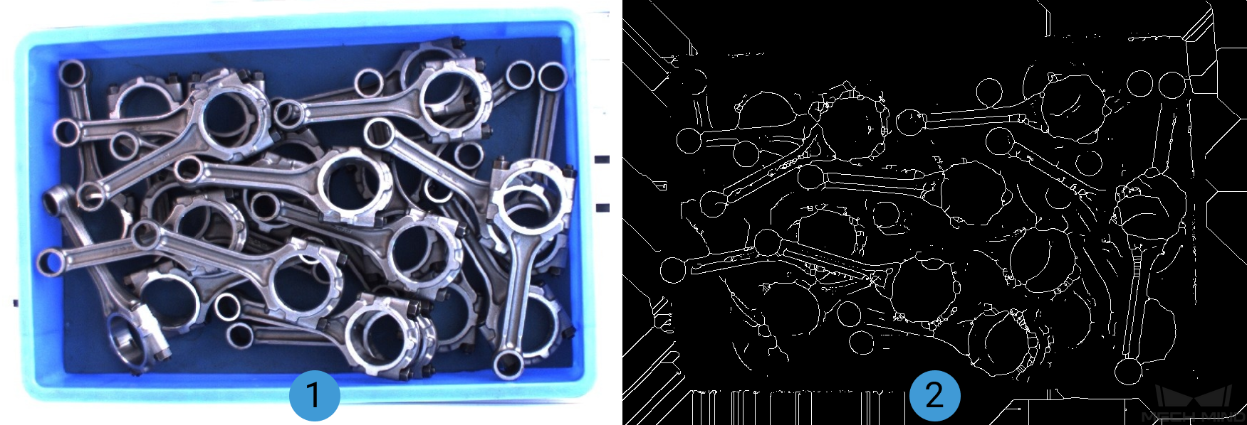 morphological transformations contrast effects of skeleton1