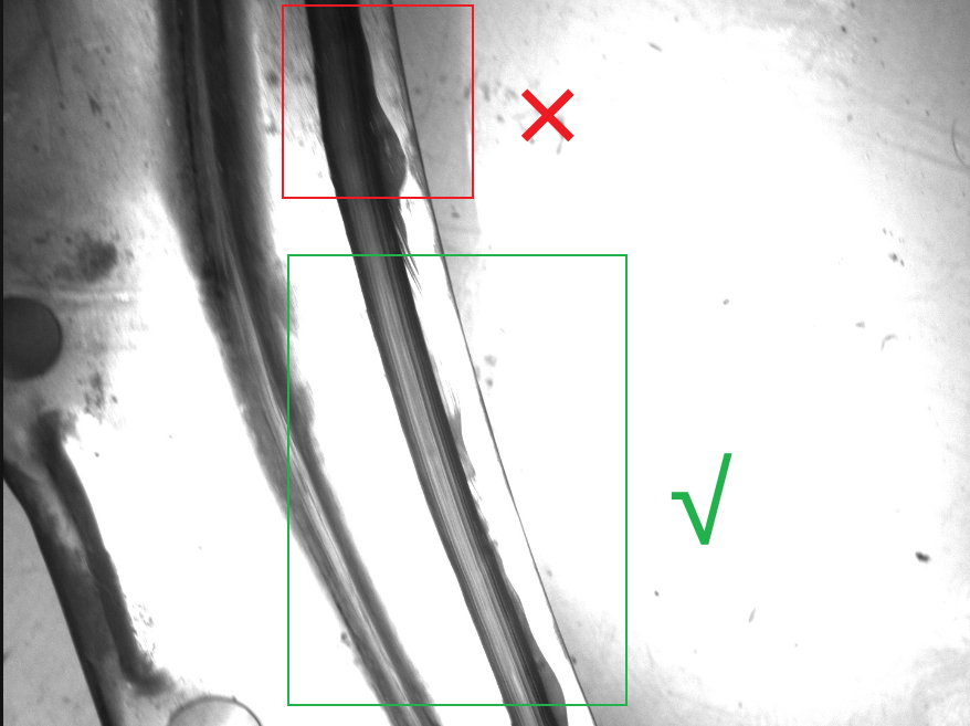 glue contrast selection 1