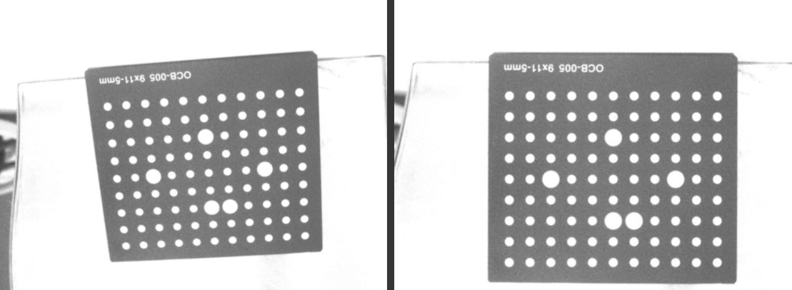 preview distortion correction results